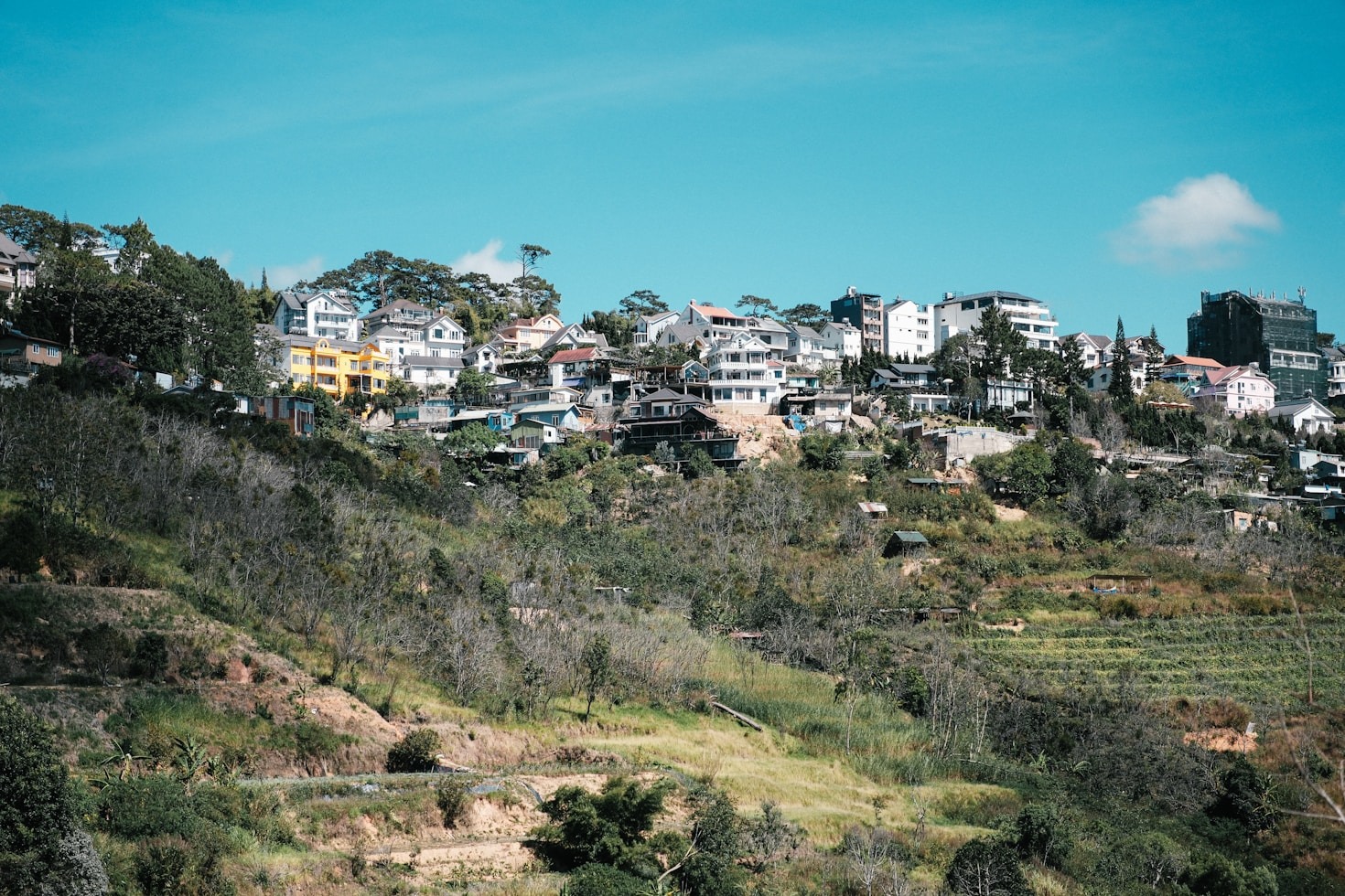 Der Weg zu zukunftsfähigen Wohnprojekten